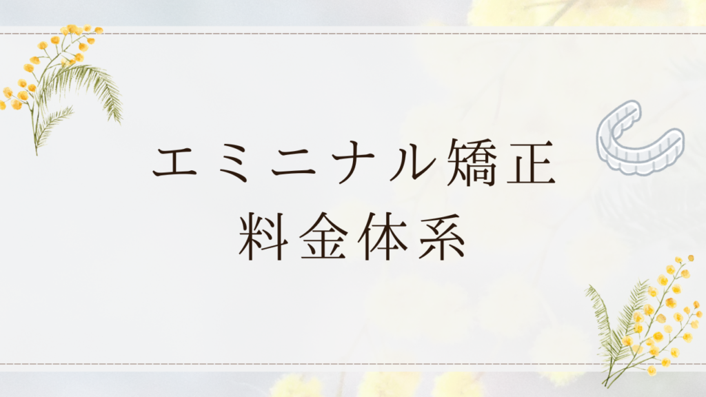 エミニナル矯正 料金体系